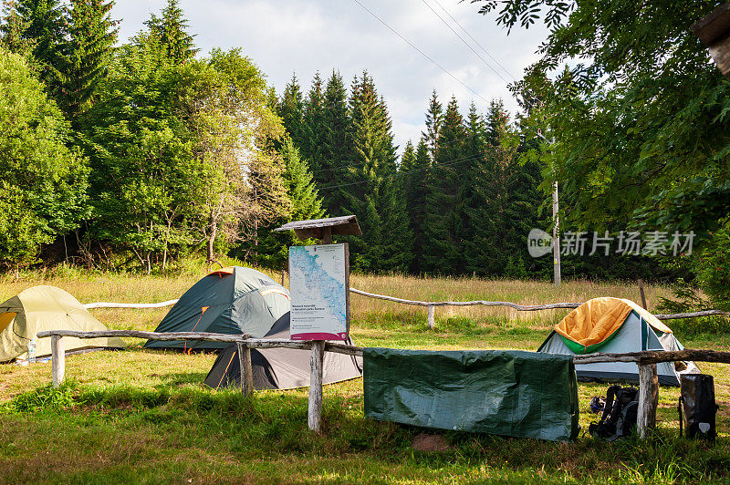 紧急过夜营地Buina Sumava，波希米亚森林，Böhmerwald，捷克共和国。几个帐篷在森林营地的草地上露营。